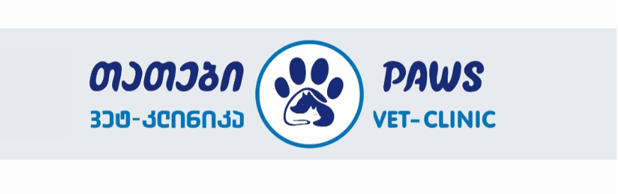 თათები - paws