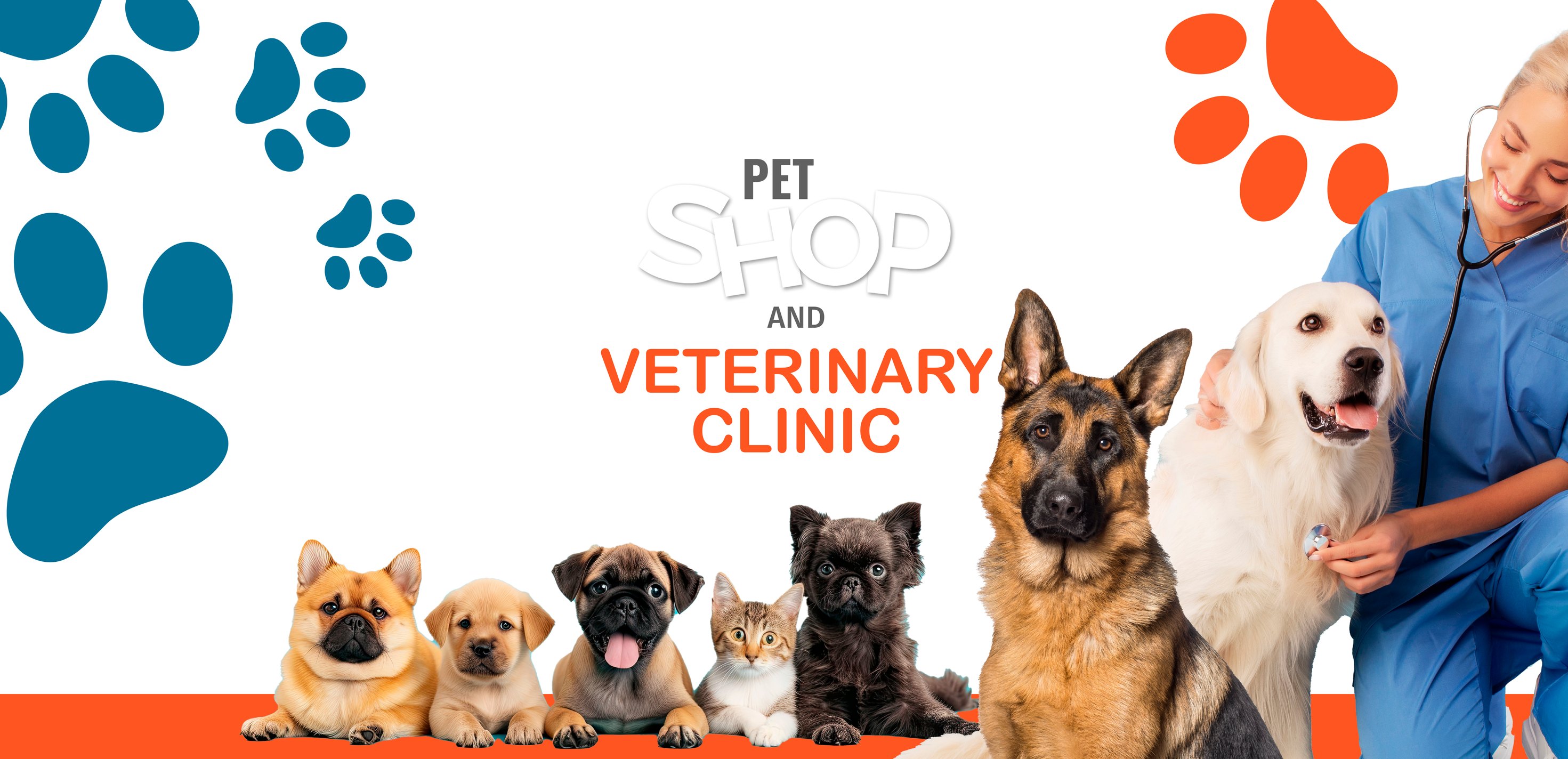 Vet Clinic Chucky