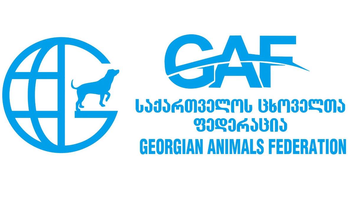GAF Kutaisi Grooming • გაფ ქუთაისი გრუმინგი