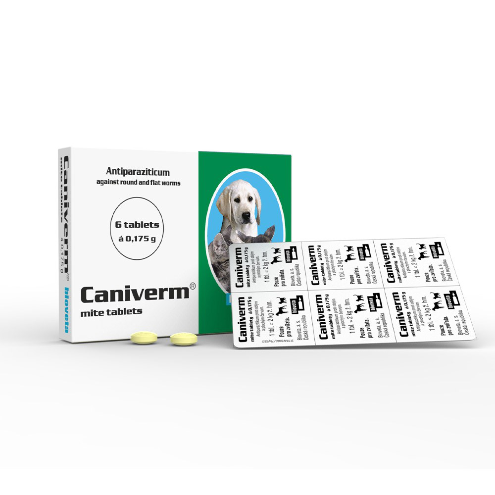 ანტიჰელმინთური აბი ძაღლისთვის და კატისთვის კანივერმი 10 კგ-ზე