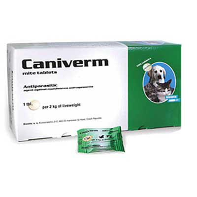 ანტიჰელმინთური აბი ძაღლისთვის და კატისთვის კანივერმი 2 კგ-ზე