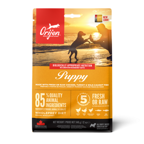 ორიჟენი ლეკვი Puppy 11.4 კგ