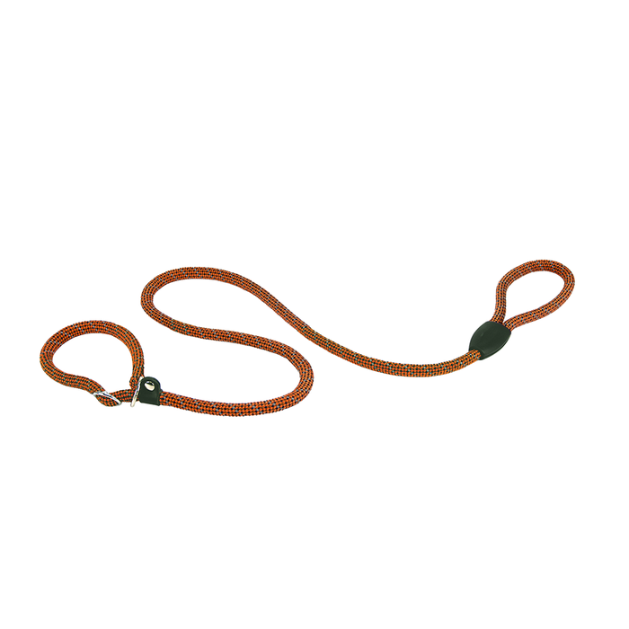 საბელი ძაღლისთვის Ferplast Sport Reflex GC 13/170 ნარინჯისფერი (M)