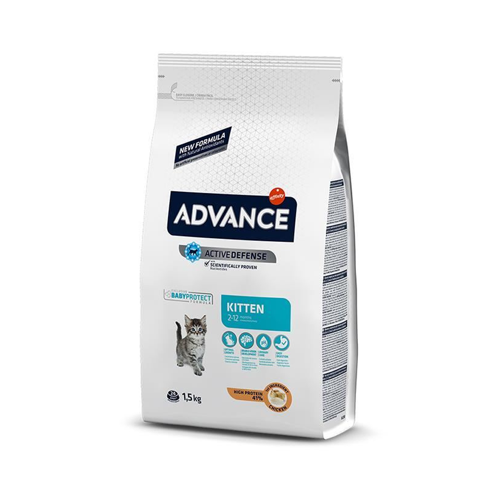 ედვანსი კნუტი ორსული მეძუძური Kitten 1.5 კგ